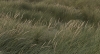 Where the Wind Shapes Silence