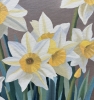 Spring Daffodils
