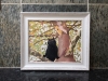 Cat In The Tree