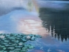 Waterlillies