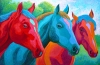 THREE HORSES IN A FIELD