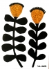 Dandelions 