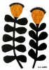 Dandelions 