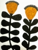 Dandelions 
