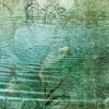 Misty Lake 02, Threshold
