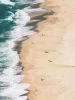 Awaiting the Perfect Wave