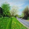 The Path Above Baghill Lane