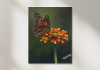 Monarch Butterfly Acrylic Painting | Orange Flower Wall Art | 10 x 11.5 Inch