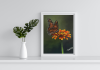Monarch Butterfly Acrylic Painting | Orange Flower Wall Art | 10 x 11.5 Inch