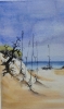 Canadian seescape1, watercolors, 11x14, inches SKU 4020
