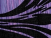 Shades of purple dance