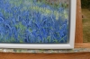 A Walk Into the Bluebell Wood