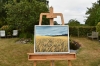 Fields of Barley