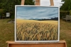 Fields of Barley