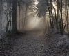 Frost at the Edge of Evening