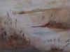 Highland Morning Mist