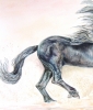 Unbridled