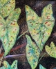 Island Forest Mosaic