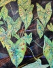 Island Forest Mosaic