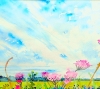 High Summer, Fenland Skies