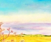 Late Summer Fields