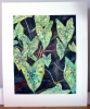 Island Forest Mosaic