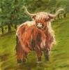 Highland Monarch