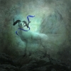 \"The Goat With Blue Ribbon\"