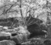 Invisible Light: Echoes of Dartmoor 1