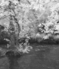 Invisible Light: Echoes of Dartmoor 1