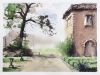 Lamport Hall Garden