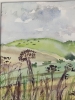 September Hues of the Downs