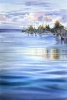 Quiet Waters of St. Petersburg