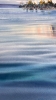 Quiet Waters of St. Petersburg