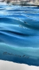 Blue Waters of Recco