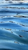 Blue Waters of Recco