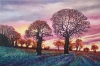 Flaming Twilight 