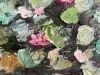 Lotus Pond 