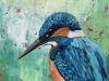 Kingfisher by the River