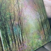 Rainbow Woodland