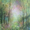 Rainbow Woodland