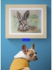 Hare in the meadow 