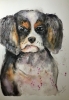 Innocent Eyes – Original Watercolor Puppy Portrait