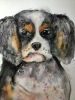 Innocent Eyes – Original Watercolor Puppy Portrait