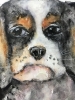 Innocent Eyes – Original Watercolor Puppy Portrait