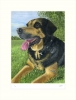 A Faithful Friend 