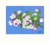 Serenade of Spring 