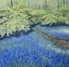 A Walk Into the Bluebell Wood