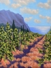 “Vineyard”