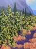 “Vineyard”